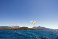 Closeup shot of a seagull flying over a calm blue sea with hills on the background Royalty Free Stock Photo