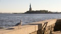 Closeup shot of a seagull and the statue of liberty in the back