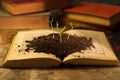 Closeup shot of seedlings growing from the soil on an open book Royalty Free Stock Photo