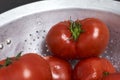 Closeup shot of several freshly rinsed tomatoes