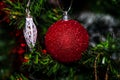 Closeup shot of a shiny red ornament on a Christmas tree Royalty Free Stock Photo