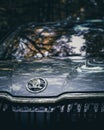 Closeup shot of Silver Skoda Kodiaq logo