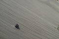 Closeup shot of a single fallen pine cone on a smooth layered sand dune Royalty Free Stock Photo