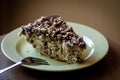 Closeup shot of a slice of delicious chocolate cake Royalty Free Stock Photo