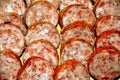 Closeup shot of slices of sausage arranged next to each other