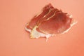 Closeup shot of slices of serrano Spanish ham Royalty Free Stock Photo