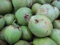 Closeup shot of slightly bruised bright green water coconuts