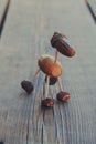 Closeup shot of a small horselike toy made from chestnuts, acorns and toothpicks on a wooden surface