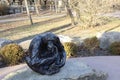 Closeup shot of a small monkey sculpture at the Kansas City zoo