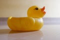 Closeup shot of a small rubber ducky Royalty Free Stock Photo