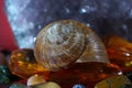 Closeup shot of a snail on a crystal-like stones Royalty Free Stock Photo