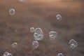 Closeup shot of soap bubbles in the air with a blurred background Royalty Free Stock Photo