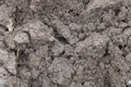 A closeup shot of the soil texture, showcasing its intricate details and textures