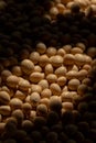 Closeup shot of Soy beans seeds grain in a bag with sunlight. Soybeans. Soya. Healthy Produce. Royalty Free Stock Photo