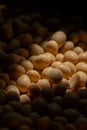 Closeup shot of Soy beans seeds grain with sunlight. Soybeans. Soya. Healthy Produce. Royalty Free Stock Photo