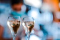 Closeup shot of sparkling white wine on blurred background Royalty Free Stock Photo