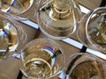 Closeup shot of sparkling white wine in glasses Royalty Free Stock Photo