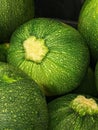 Closeup shot of a stack of fresh, green zucchini arranged in a neat pile on a white background Royalty Free Stock Photo