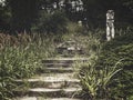 Closeup shot of stairs from cobblestones covered with grass and plants