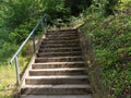 Closeup shot of stairs pathway surrounded by trees Royalty Free Stock Photo