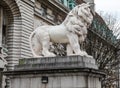 Closeup shot of the statue of  the South Bank Lion at the east end of Westminster Bridge in London Royalty Free Stock Photo