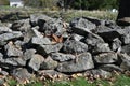 Closeup shot of a stone wall composed of a pile of gray rocks