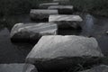 Closeup shot of stones making a path over the water Royalty Free Stock Photo