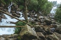 Closeup shot of stones in the river flowing trough the forest Royalty Free Stock Photo