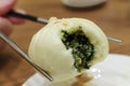 Closeup shot of Taiwanese steamed bun with vegetables on a blurred background