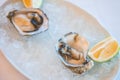 Closeup shot of a tasty and delicious seafood meal with oysters and lemons