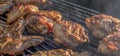 Closeup shot of a tasty grilled chicken Royalty Free Stock Photo