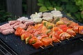 Closeup shot of tasty looking barbeques on the grill Royalty Free Stock Photo