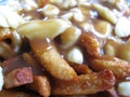 Closeup shot of a tasty looking Canadian poutine