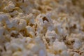 Closeup shot of tasty looking popcorns