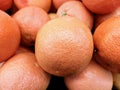 Closeup shot of tasty oranges