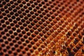 Closeup shot of a texture of a honeycomb