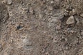 Closeup shot of a textured floor surface with small rocks Royalty Free Stock Photo