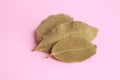 Closeup shot of three bay leaves on a pink background Royalty Free Stock Photo