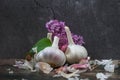 Closeup shot of three garlic bulbs with peels and purple flower against a concrete wall Royalty Free Stock Photo