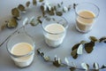 Closeup shot of three glasses of milk next to the green branches of a plant