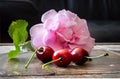 Closeup shot of three red cherries with a pink rose and green leaves on a brown surface. Macro photo with dark Royalty Free Stock Photo