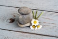 Closeup shot of three stones stacked on top of each other next to daisy flowers on a wooden surface Royalty Free Stock Photo