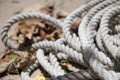 Closeup shot of a tight white rope in Juan Lacaze, Uruguay Royalty Free Stock Photo