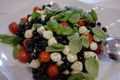 Closeup shot of tomato, black olives, and fresh mozzarella salad with fresh basil on a white plate Royalty Free Stock Photo