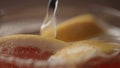 closeup shot of tonic pour with grapefruit slices