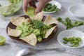 Closeup shot of tortilla chips with guacamole dip Royalty Free Stock Photo