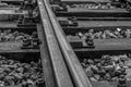 Closeup shot of tracks of a railway line in grayscale Royalty Free Stock Photo