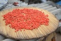 Closeup shot of a tray with drying goji berries Royalty Free Stock Photo