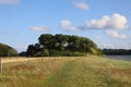 Closeup shot of trees, grassland, and a river