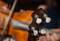 Closeup shot of the tuning pegs of a guitar Royalty Free Stock Photo